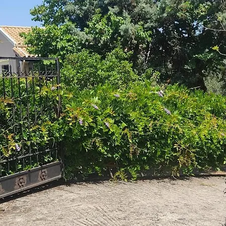 Ektora's House * Agios Georgios Pagon