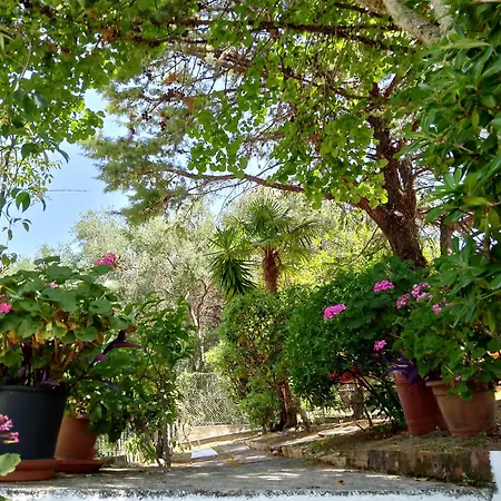 Tatil Evi Ektora's House