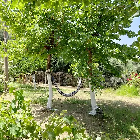 Ektora's House بيت للعطل