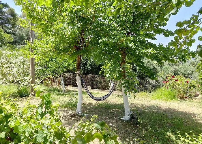 Ektora's House Дом отдыха